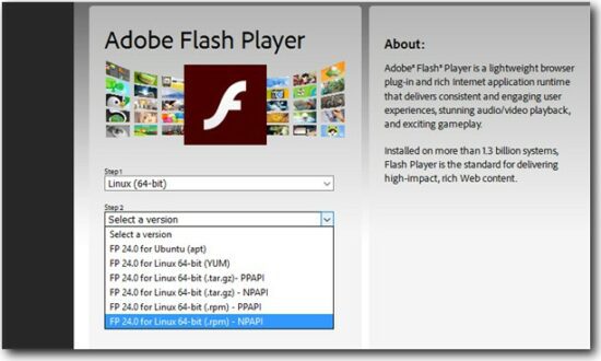 Adobe flash player npapi и ppapi что это