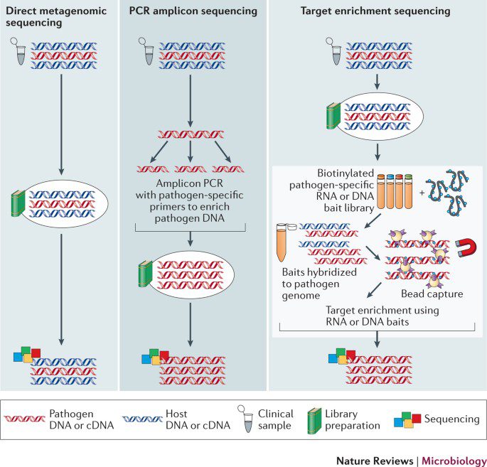 process-of-whole-genome-sequencing-still-challenging-but-heading-in